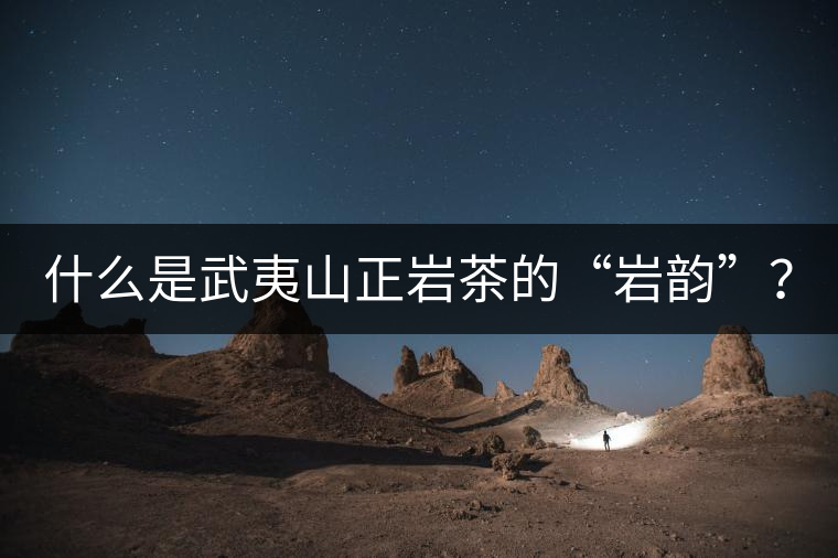 什么是武夷山正巖茶的“巖韻”？