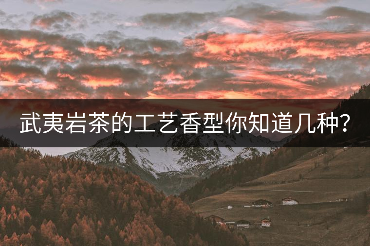 武夷巖茶的工藝香型你知道幾種？