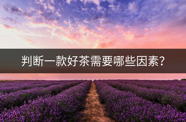 判斷一款好茶需要哪些因素？