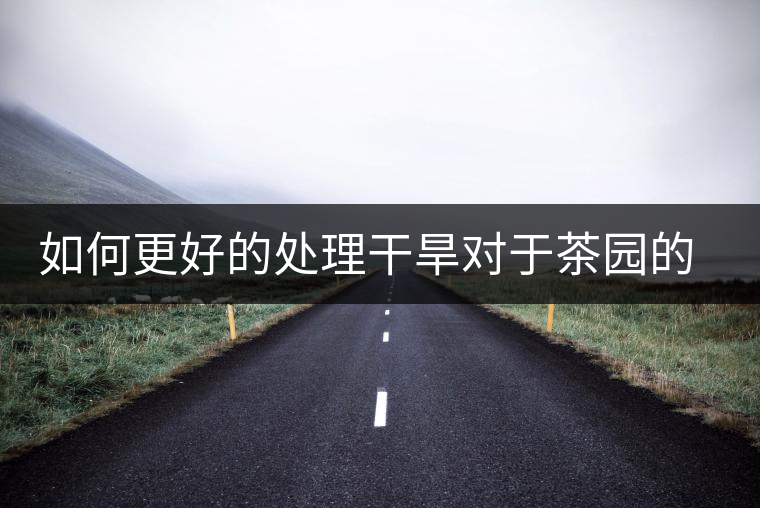 如何更好的處理干旱對于茶園的影響？