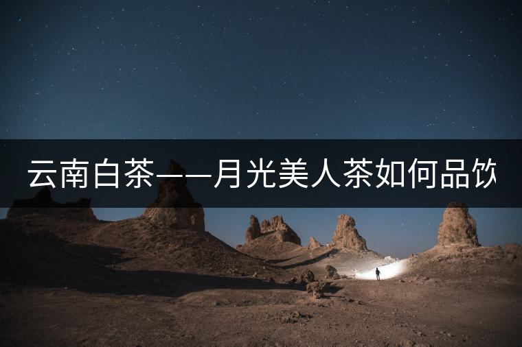 云南白茶——月光美人茶如何品飲？