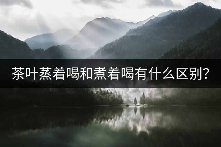 茶葉蒸著喝和煮著喝有什么區(qū)別？