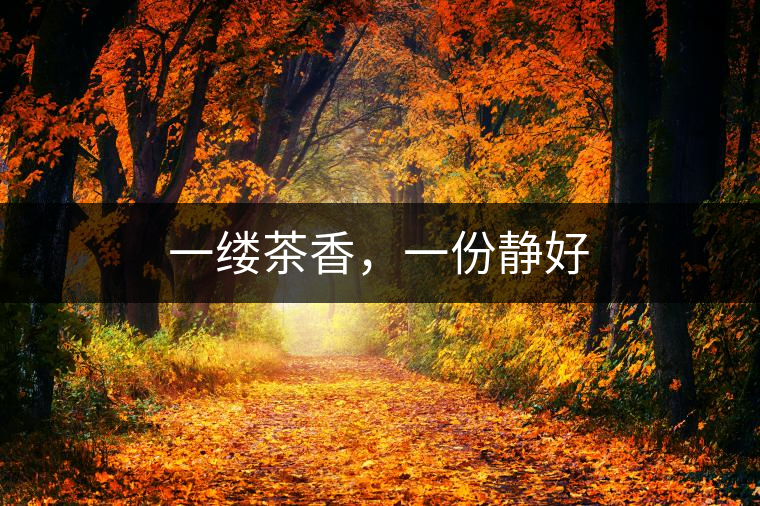 一縷茶香，一份靜好