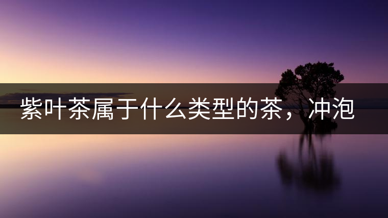 紫葉茶屬于什么類型的茶，沖泡需要注意什么？