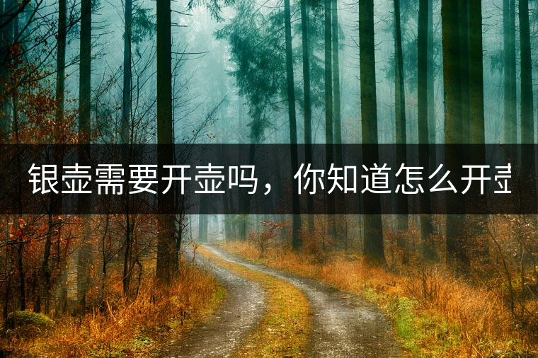 銀壺需要開壺嗎，你知道怎么開壺？