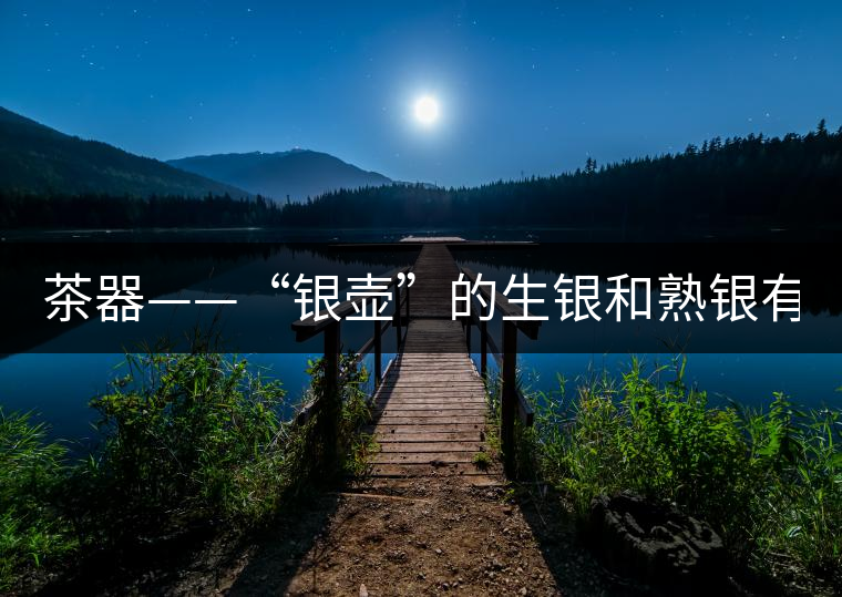 茶器——“銀壺”的生銀和熟銀有什么區(qū)別嗎？
