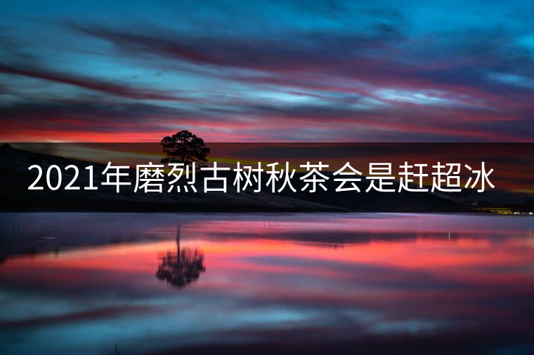 2021年磨烈古樹秋茶會是趕超冰島的存在嗎？