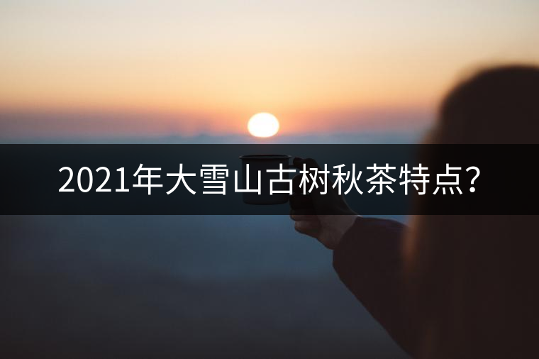 2021年大雪山古樹秋茶特點(diǎn)？