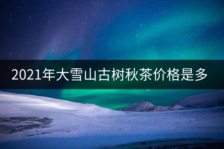 2021年大雪山古樹秋茶價格是多少？