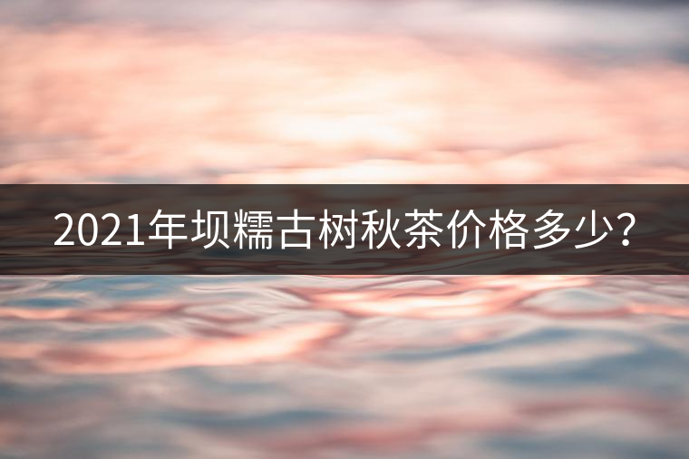 2021年壩糯古樹秋茶價格多少？
