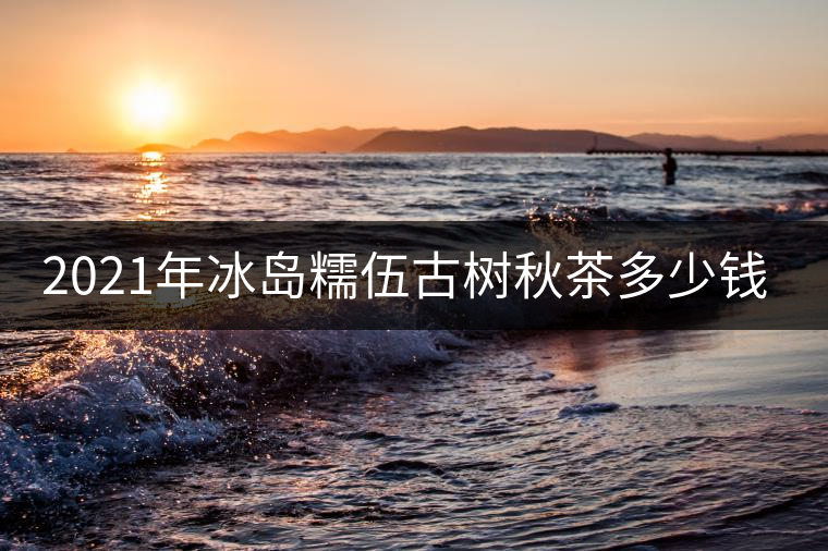 2021年冰島糯伍古樹秋茶多少錢一公斤？