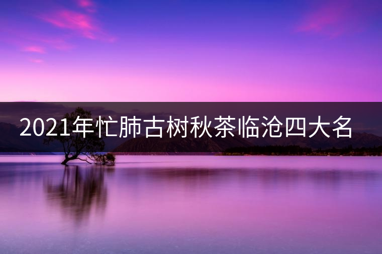 2021年忙肺古樹秋茶臨滄四大名茶之一！