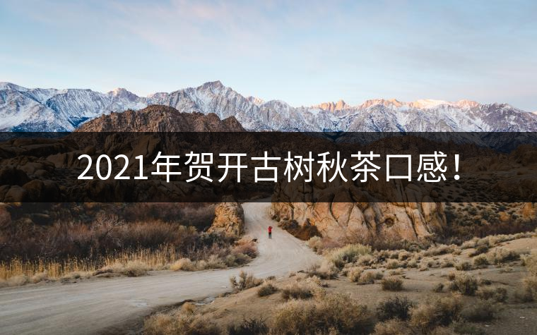 2021年賀開(kāi)古樹(shù)秋茶口感！