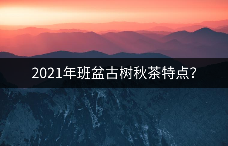 2021年班盆古樹秋茶特點(diǎn)？