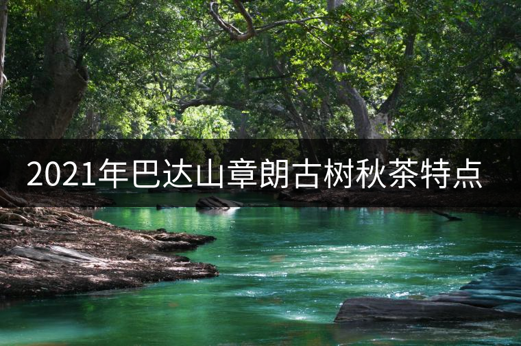 2021年巴達(dá)山章朗古樹秋茶特點(diǎn)？