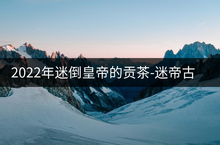 2022年迷倒皇帝的貢茶-迷帝古樹春茶特點？