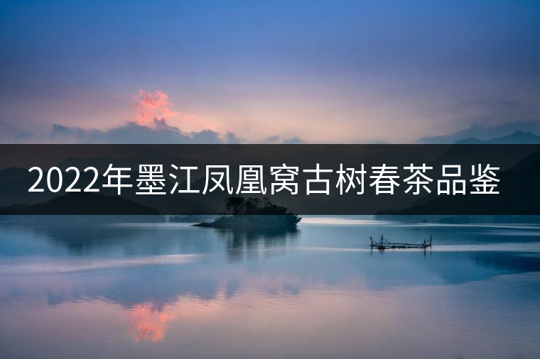 2022年墨江鳳凰窩古樹(shù)春茶品鑒實(shí)錄!