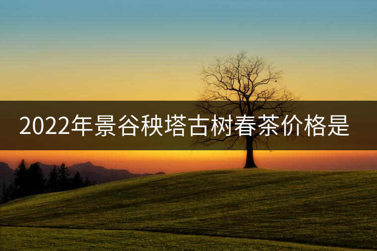 2022年景谷秧塔古樹春茶價格是多少？