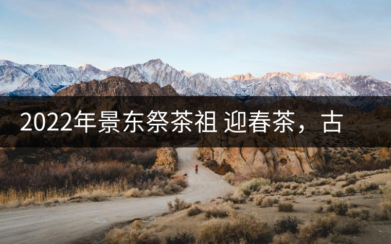 2022年景東祭茶祖 迎春茶，古樹春茶多少錢一公斤？