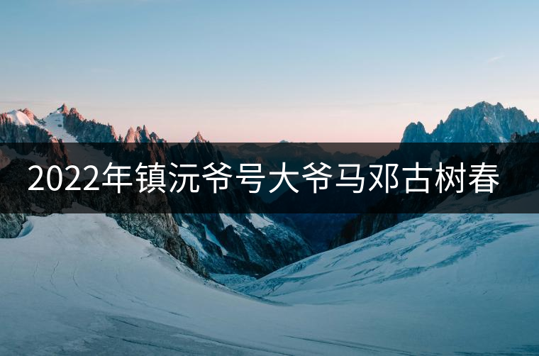 2022年鎮(zhèn)沅爺號(hào)大爺馬鄧古樹春茶特點(diǎn)？