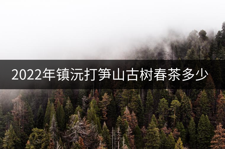 2022年鎮(zhèn)沅打筍山古樹(shù)春茶多少錢(qián)一公斤？