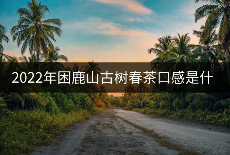 2022年困鹿山古樹(shù)春茶口感是什么？