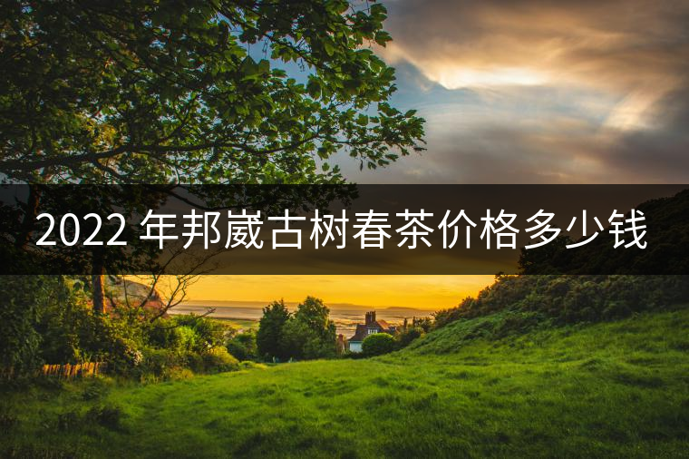 2022 年邦崴古樹(shù)春茶價(jià)格多少錢一公斤？