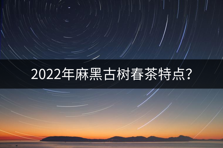 2022年麻黑古樹(shù)春茶特點(diǎn)？