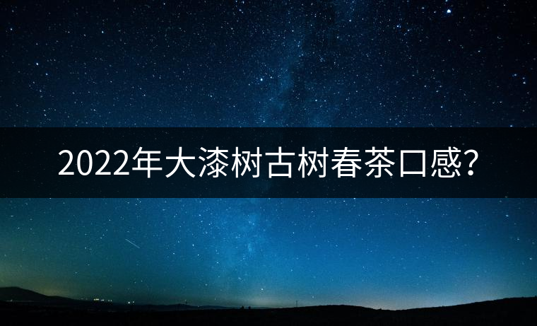 2022年大漆樹古樹春茶口感？