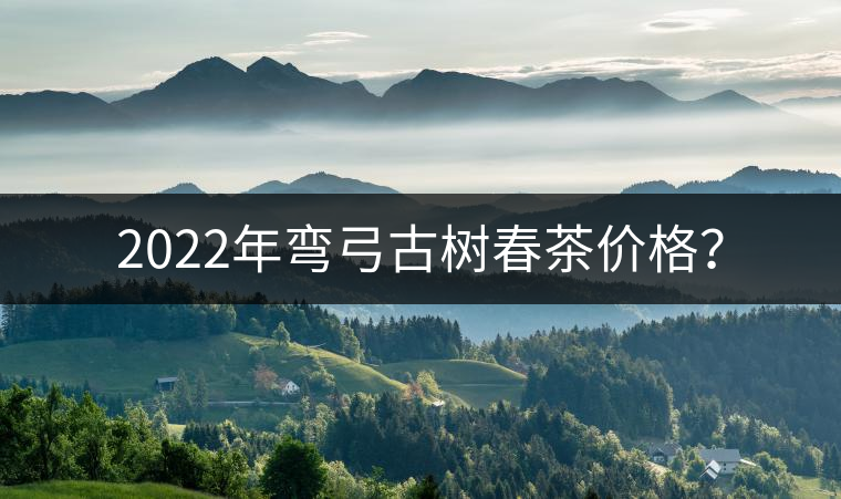 2022年彎弓古樹春茶價格？