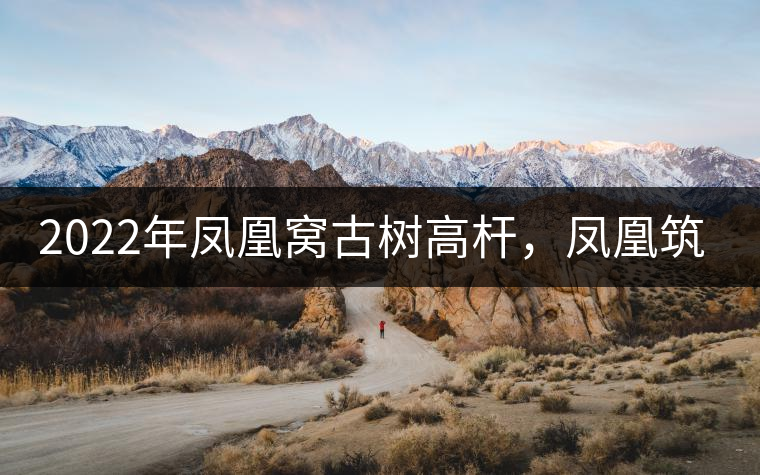 2022年鳳凰窩古樹高桿，鳳凰筑巢的地方