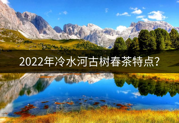 2022年冷水河古樹春茶特點(diǎn)？