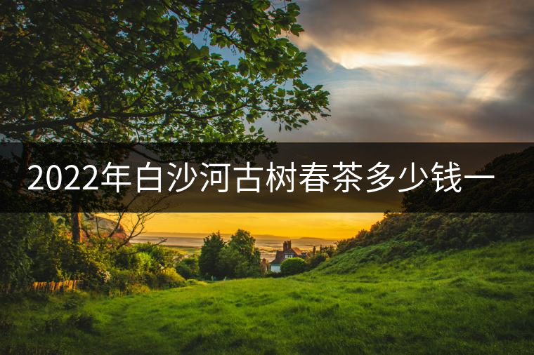 2022年白沙河古樹春茶多少錢一公斤？