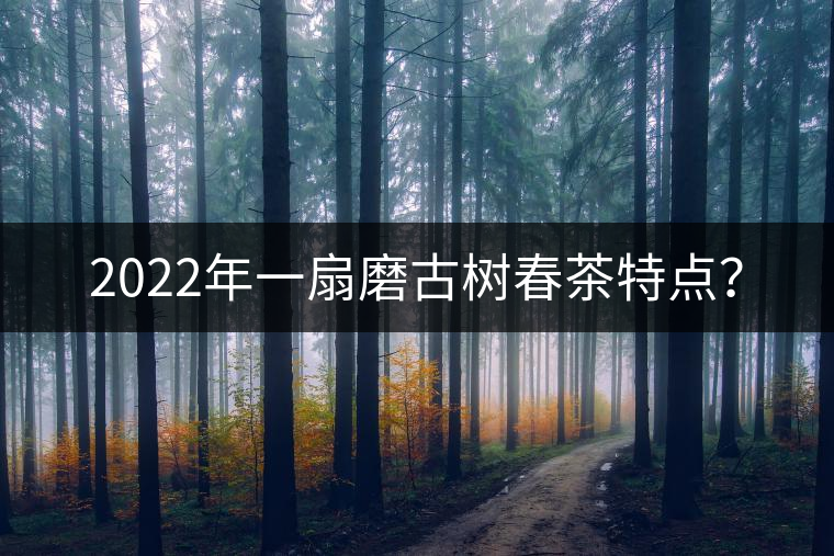 2022年一扇磨古樹春茶特點(diǎn)？