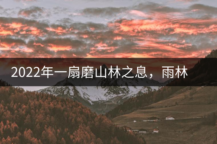 2022年一扇磨山林之息，雨林之味，原始之態(tài)