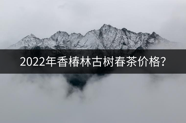 2022年香椿林古樹(shù)春茶價(jià)格？