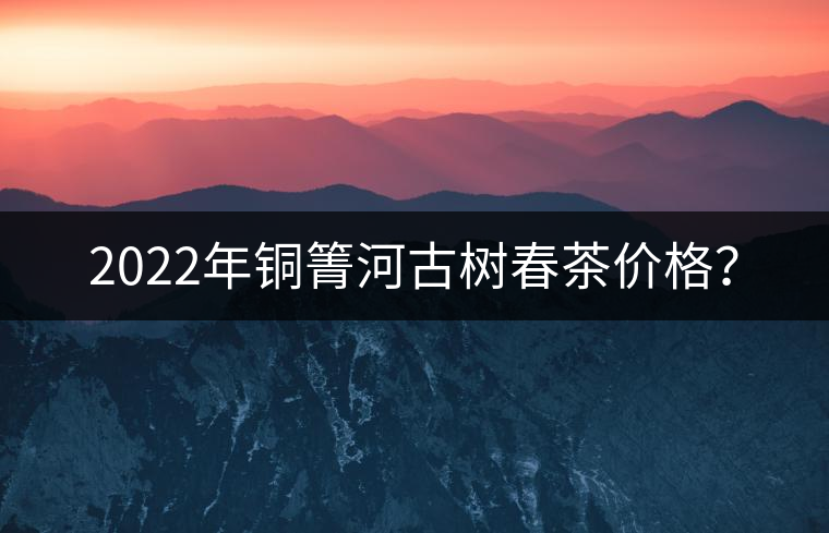 2022年銅箐河古樹春茶價格？