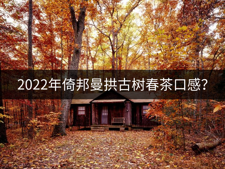 2022年倚邦曼拱古樹(shù)春茶口感？