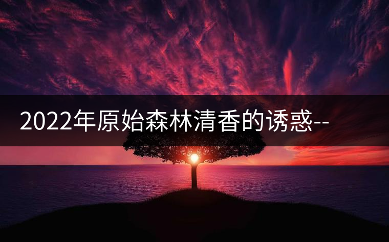 2022年原始森林清香的誘惑--大黑樹林古樹春茶