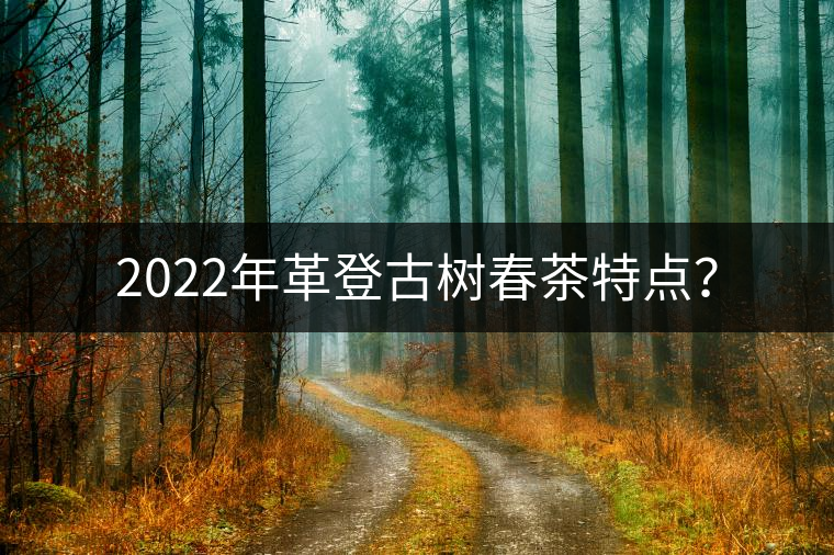 2022年革登古樹春茶特點？