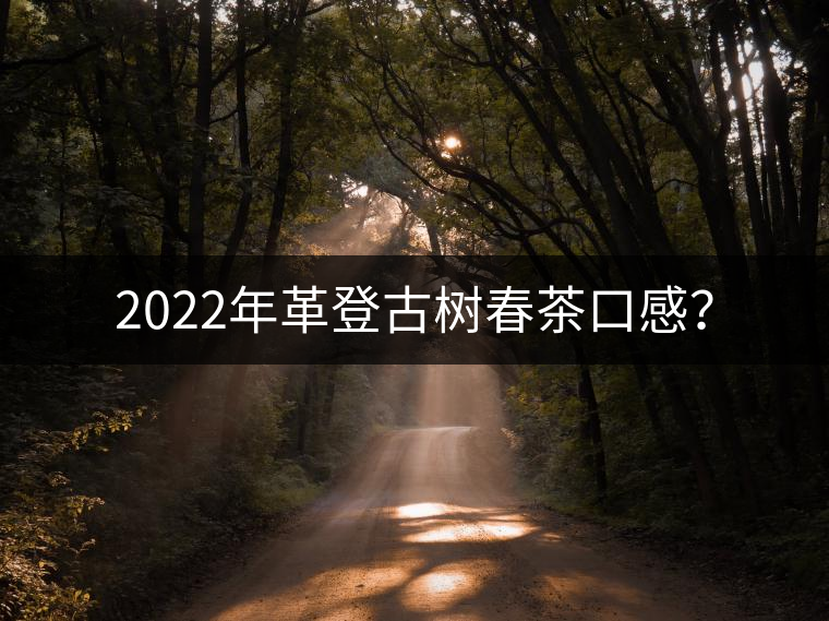 2022年革登古樹春茶口感？