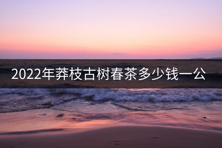 2022年莽枝古樹春茶多少錢一公斤？