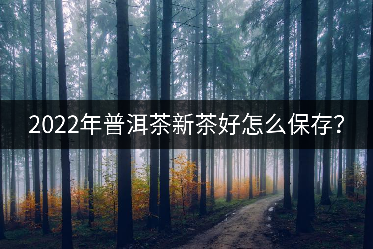 2022年普洱茶新茶好怎么保存？