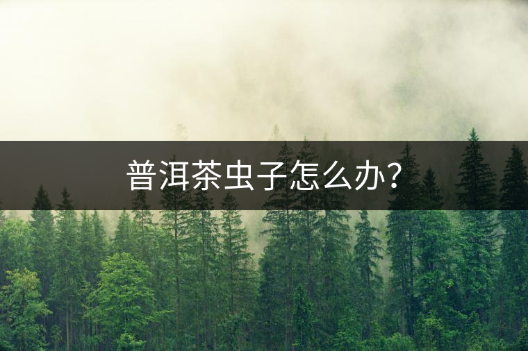 普洱茶蟲子怎么辦？