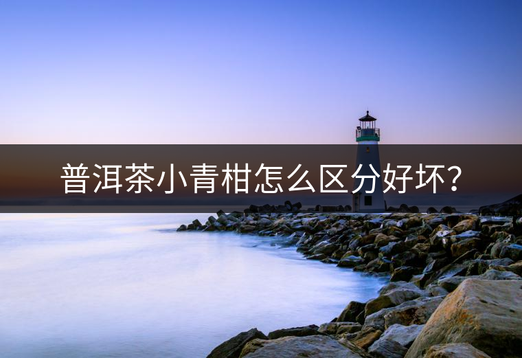 普洱茶小青柑怎么區(qū)分好壞？