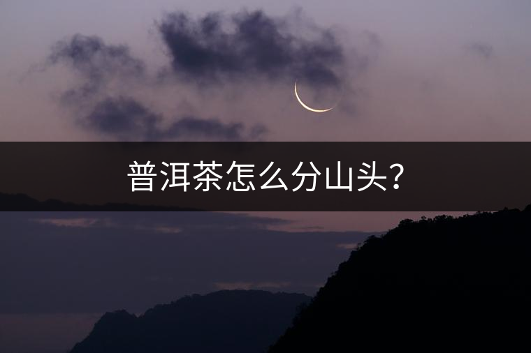 普洱茶怎么分山頭？