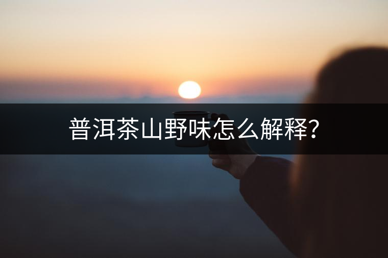普洱茶山野味怎么解釋？