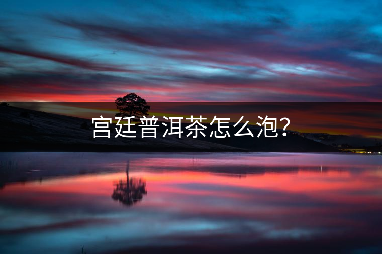 宮廷普洱茶怎么泡？