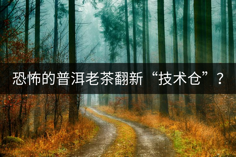 恐怖的普洱老茶翻新“技術(shù)倉”？