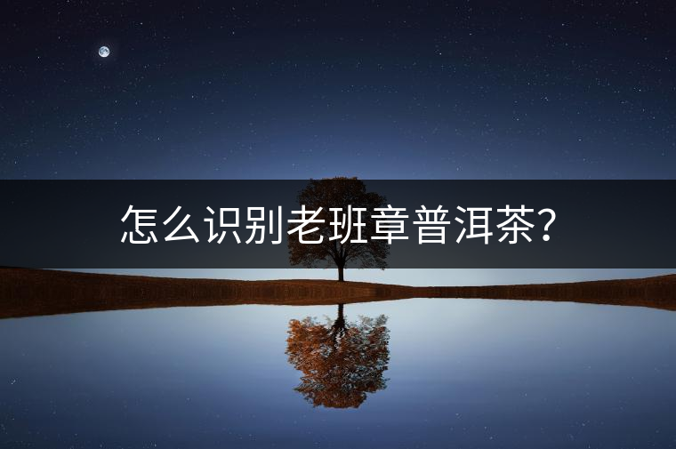 怎么識(shí)別老班章普洱茶？